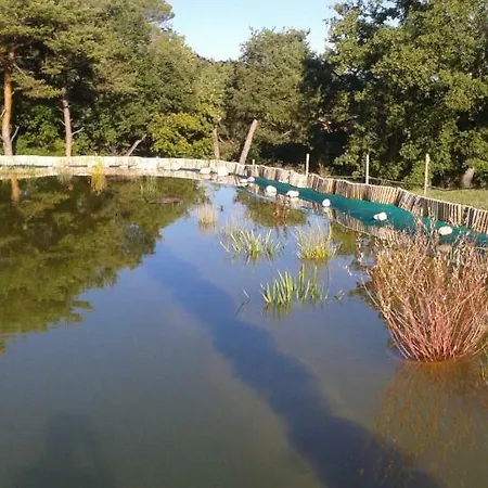 Les Bois De La Chapelle Sigonce