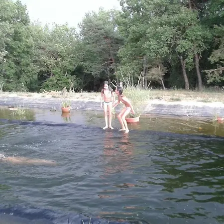 Les Bois De La Chapelle *